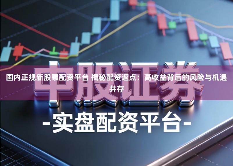 国内正规新股票配资平台 揭秘配资返点：高收益背后的风险与机遇并存