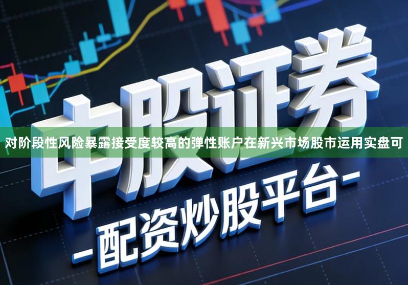 对阶段性风险暴露接受度较高的弹性账户在新兴市场股市运用实盘可