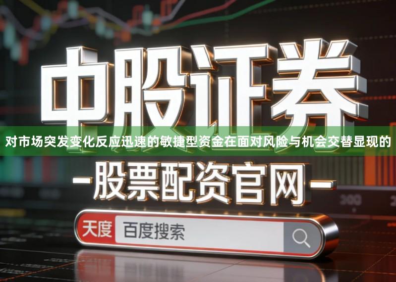 对市场突发变化反应迅速的敏捷型资金在面对风险与机会交替显现的