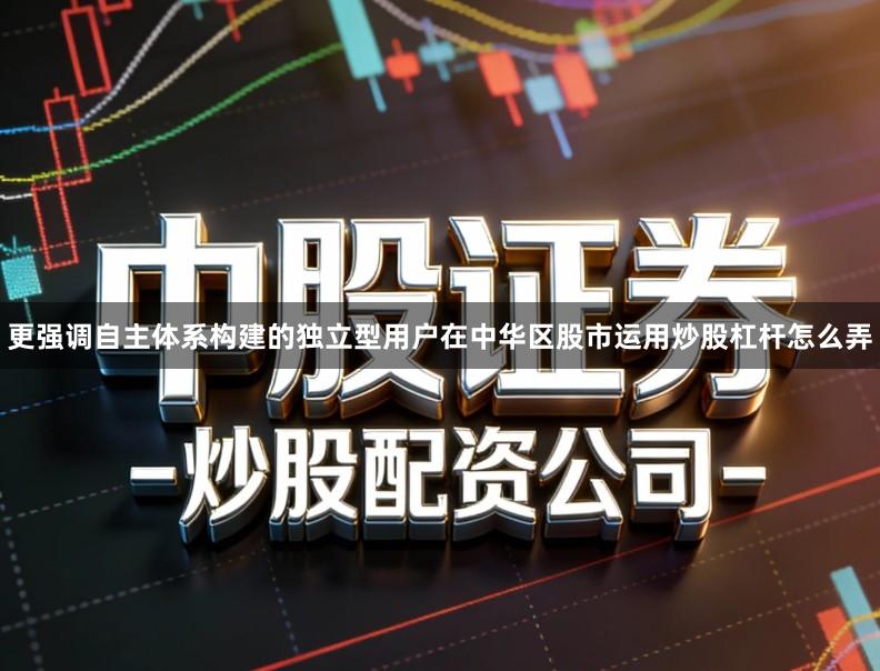 更强调自主体系构建的独立型用户在中华区股市运用炒股杠杆怎么弄