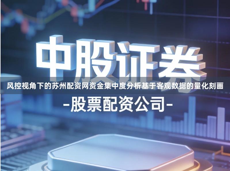 风控视角下的苏州配资网资金集中度分析基于客观数据的量化刻画