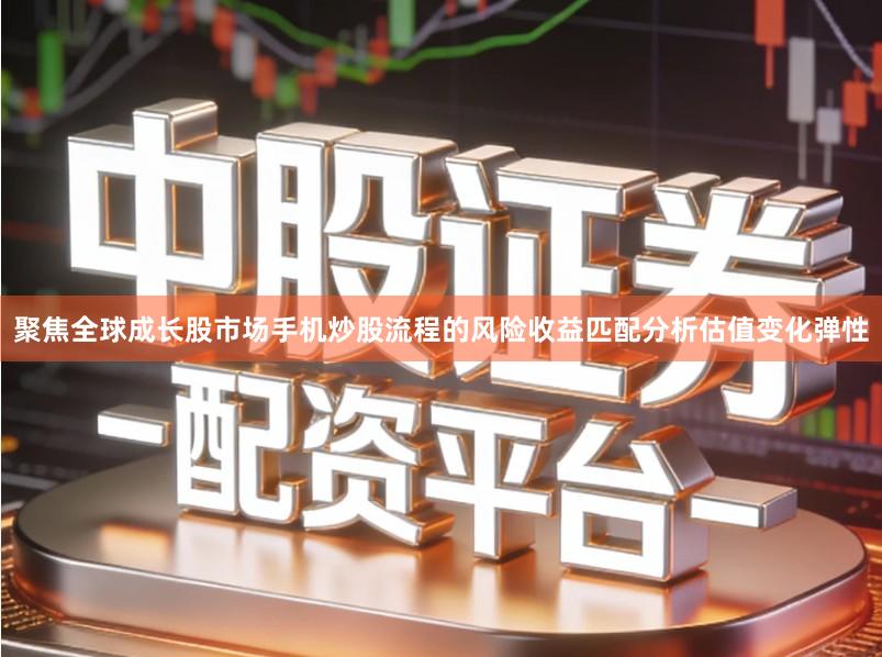 聚焦全球成长股市场手机炒股流程的风险收益匹配分析估值变化弹性