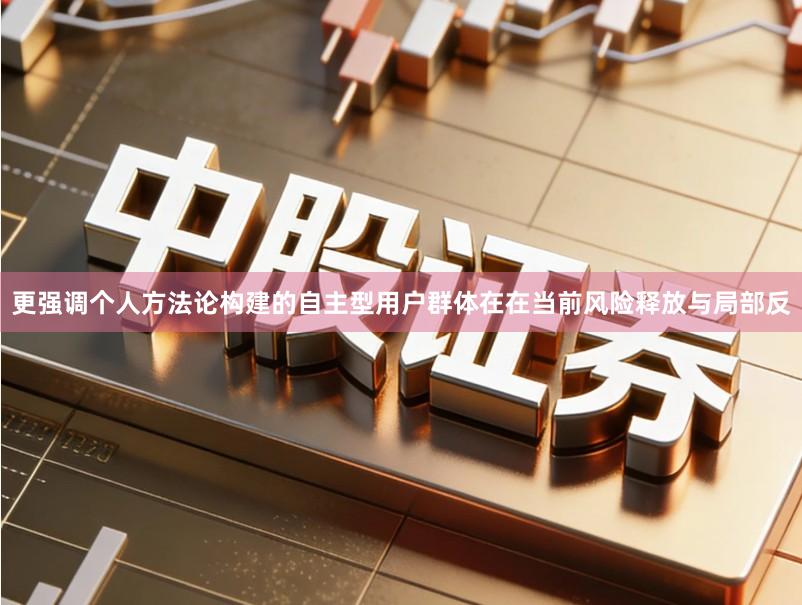 更强调个人方法论构建的自主型用户群体在在当前风险释放与局部反