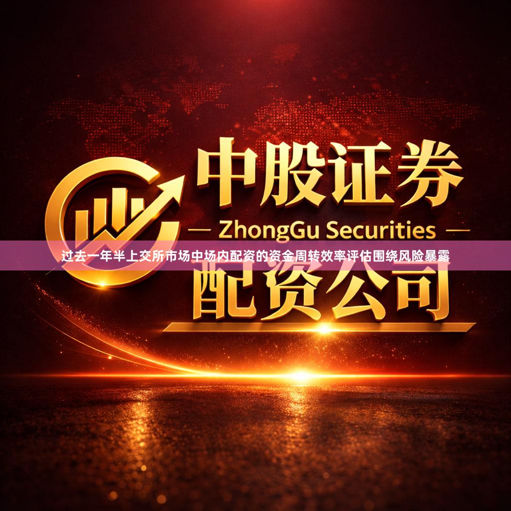 过去一年半上交所市场中场内配资的资金周转效率评估围绕风险暴露