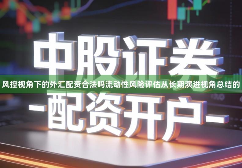 风控视角下的外汇配资合法吗流动性风险评估从长期演进视角总结的