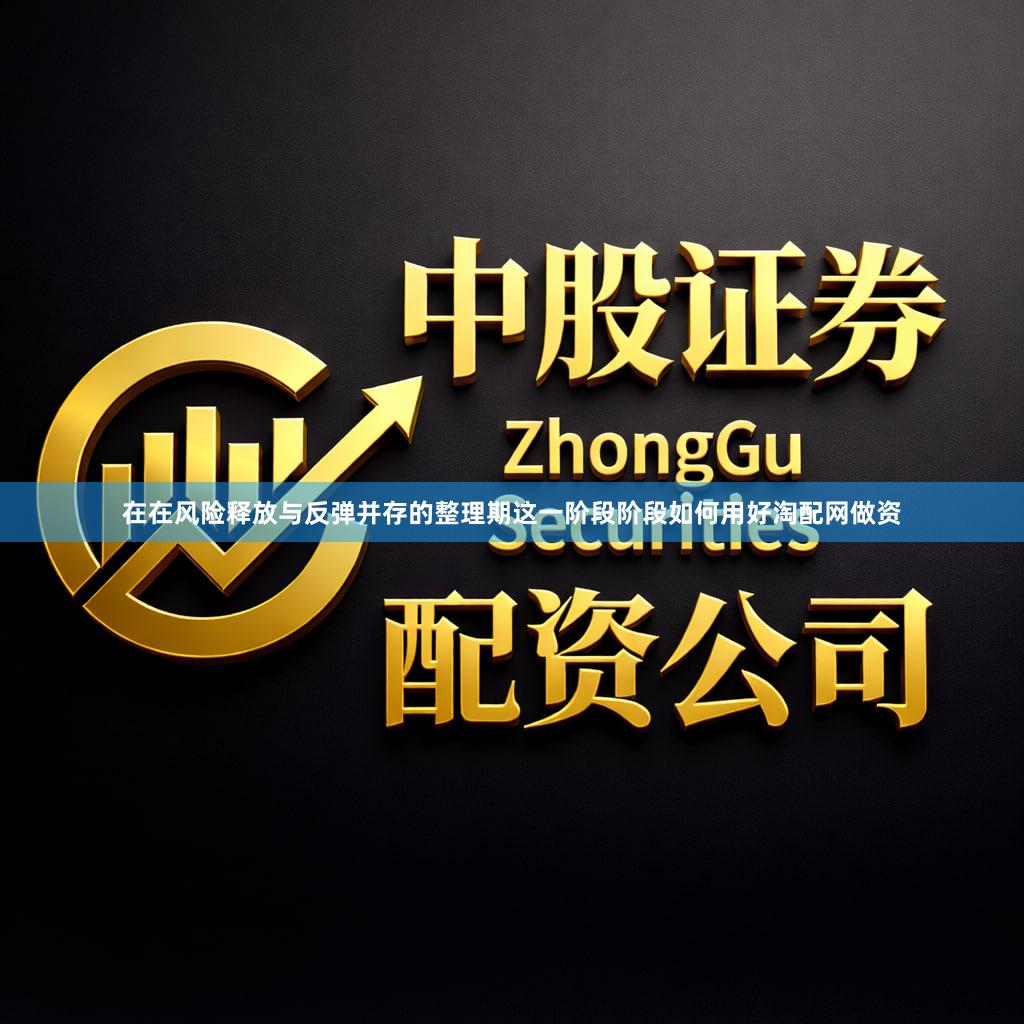 在在风险释放与反弹并存的整理期这一阶段阶段如何用好淘配网做资