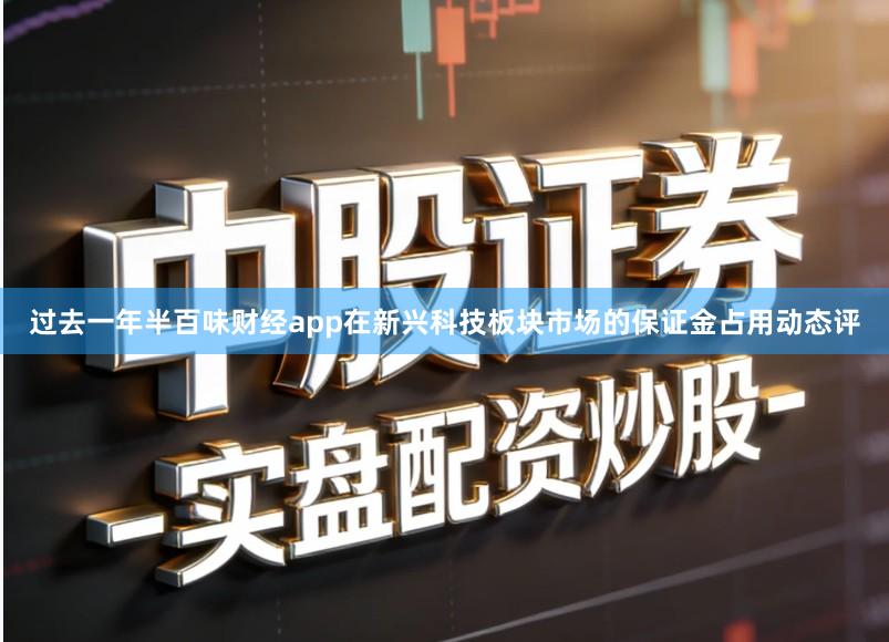 过去一年半百味财经app在新兴科技板块市场的保证金占用动态评